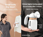 Handheld Garment Steamer