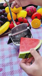 Metal Hand Press Juicer