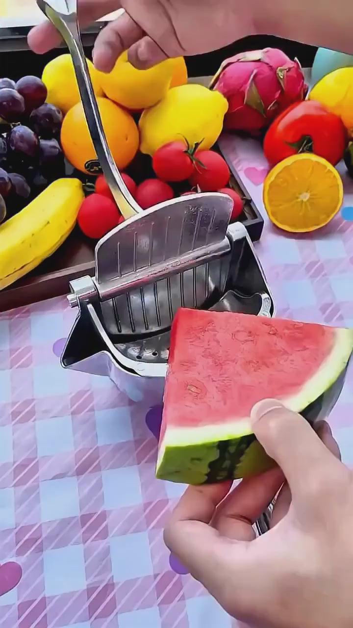 Metal Hand Press Juicer